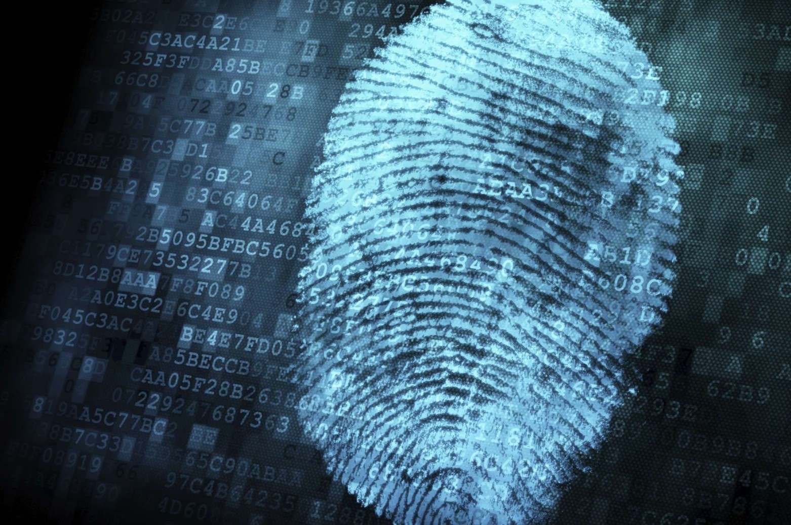 計(jì)算機(jī)系統(tǒng)集成及綜合布線 構(gòu)建高效可靠的IT基礎(chǔ)架構(gòu)